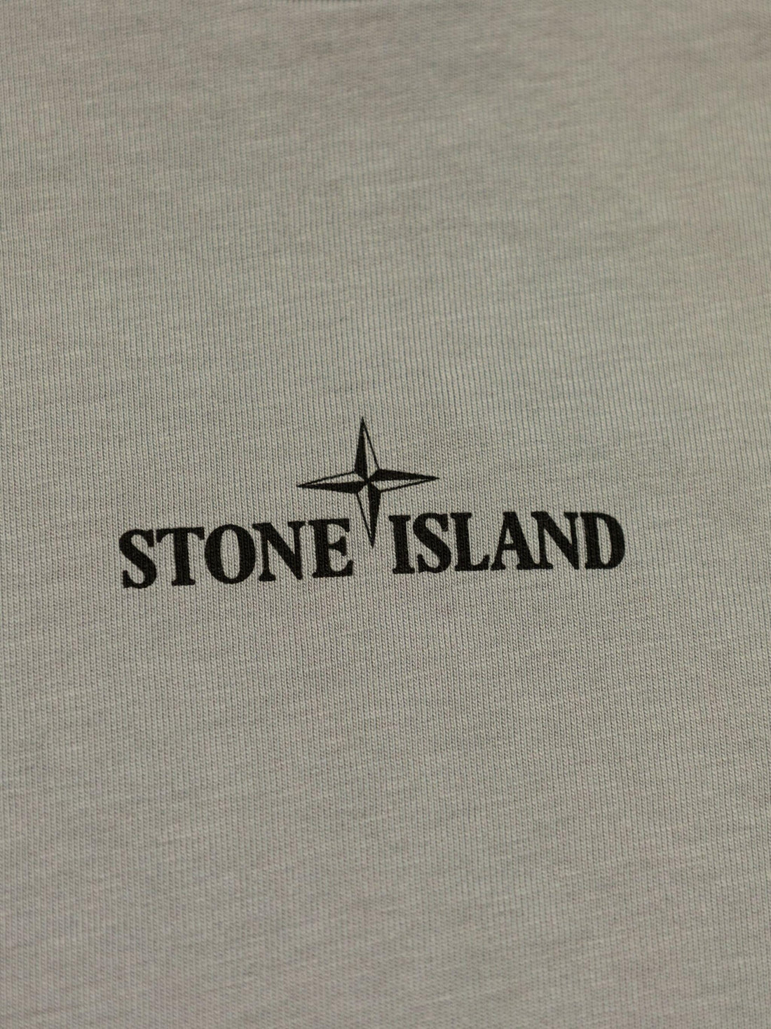 STONE ISLAND KIDS Large Compass Distressed Logo Print T-Shirt Dust