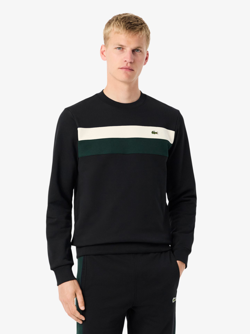 LACOSTE Colour-Block Fleece Sweatshirt - back view displaying the colour-block pattern and fit